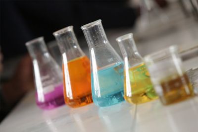 祝贺宜都金宸生物科技有限公司网站全新改版！