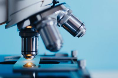 宜都金宸生物科技有限公司成立于2017年